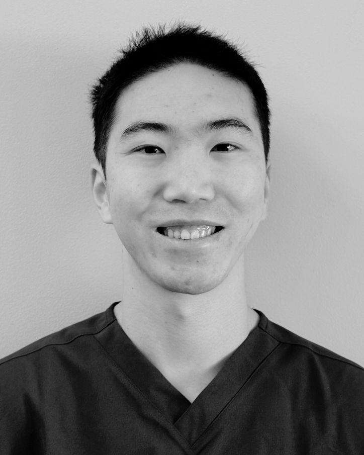 Dr Henry Chen 